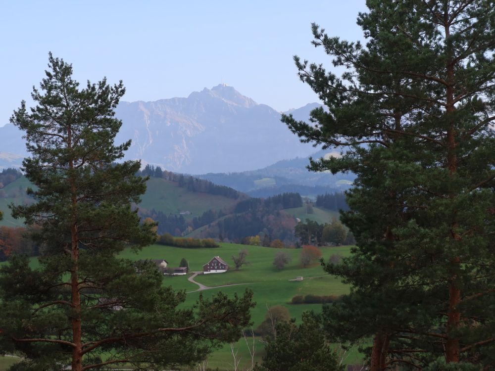 Säntis