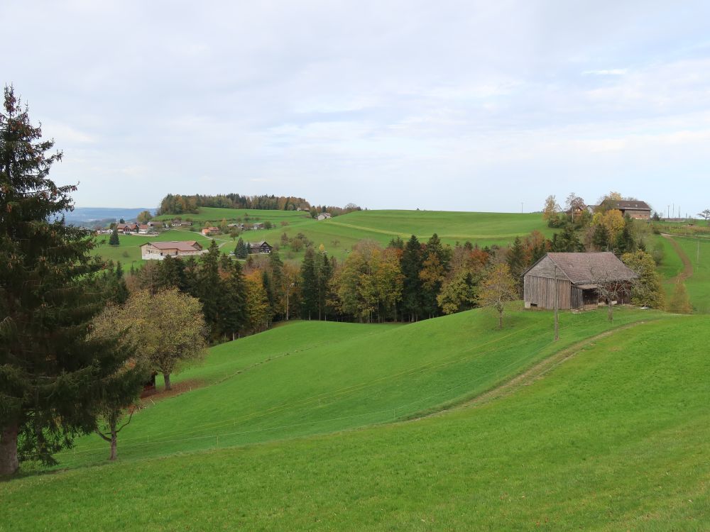 Blick Richtung Äwil