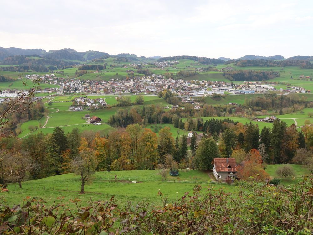 Bütschwil