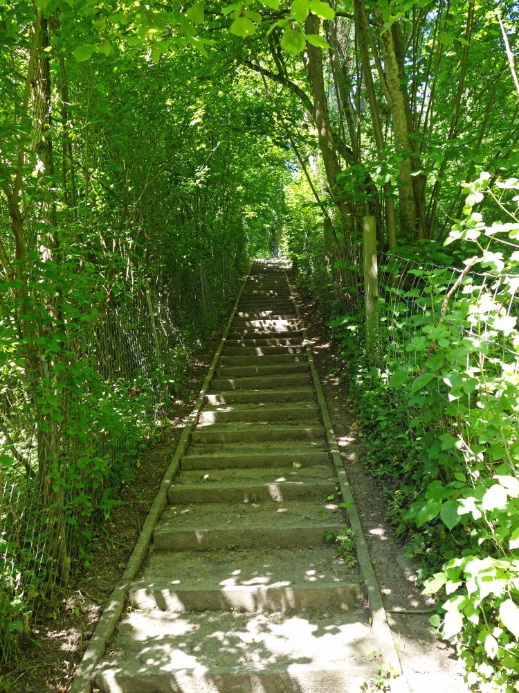 Treppe zwischen Gartenzäunen