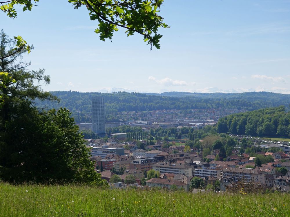 Blick auf Winterthur