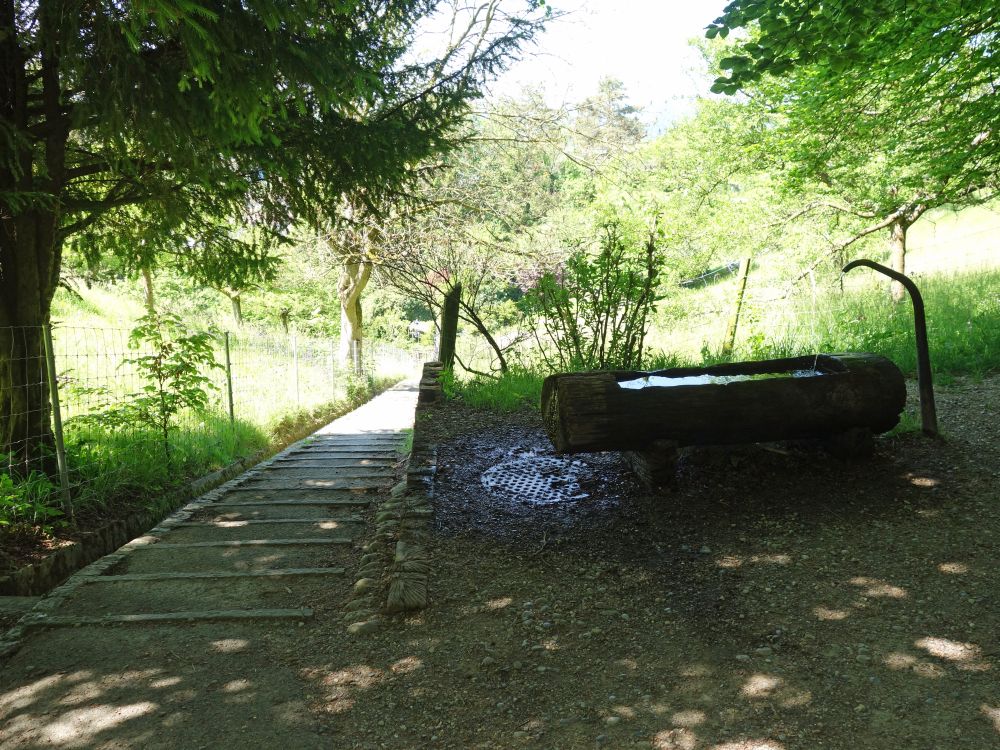 Brunnen und Treppe