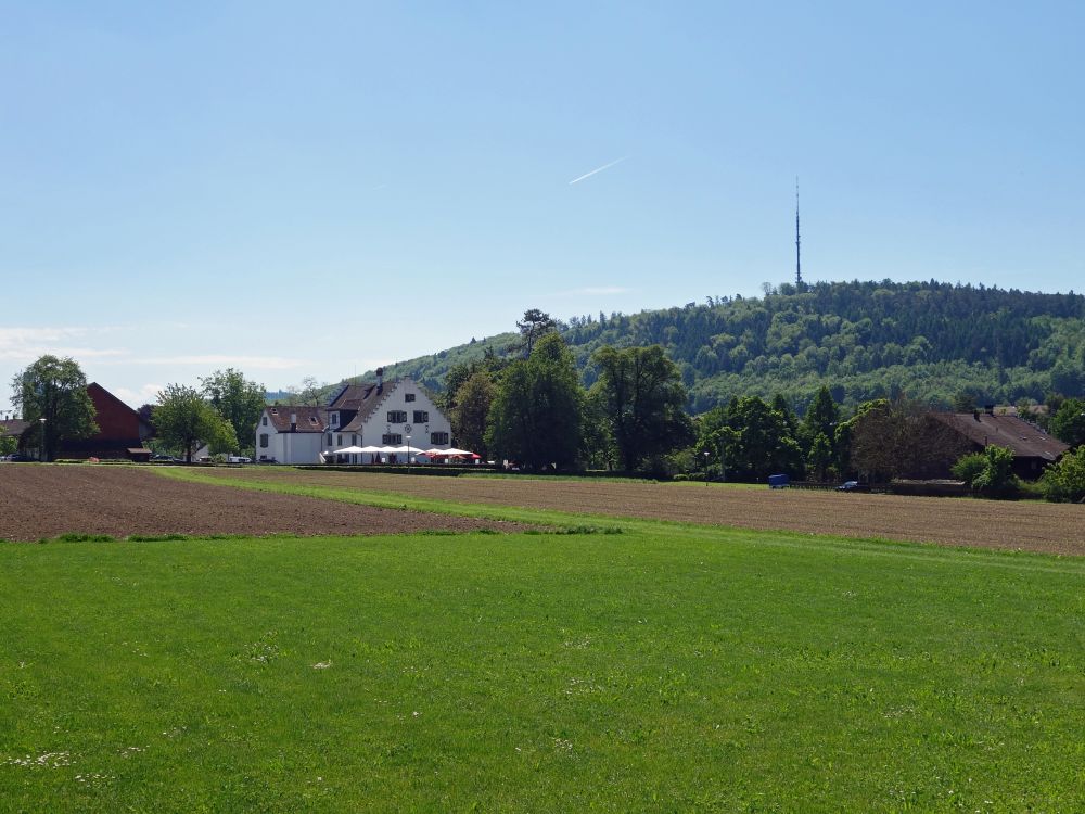 Blick Richtung Brelberg