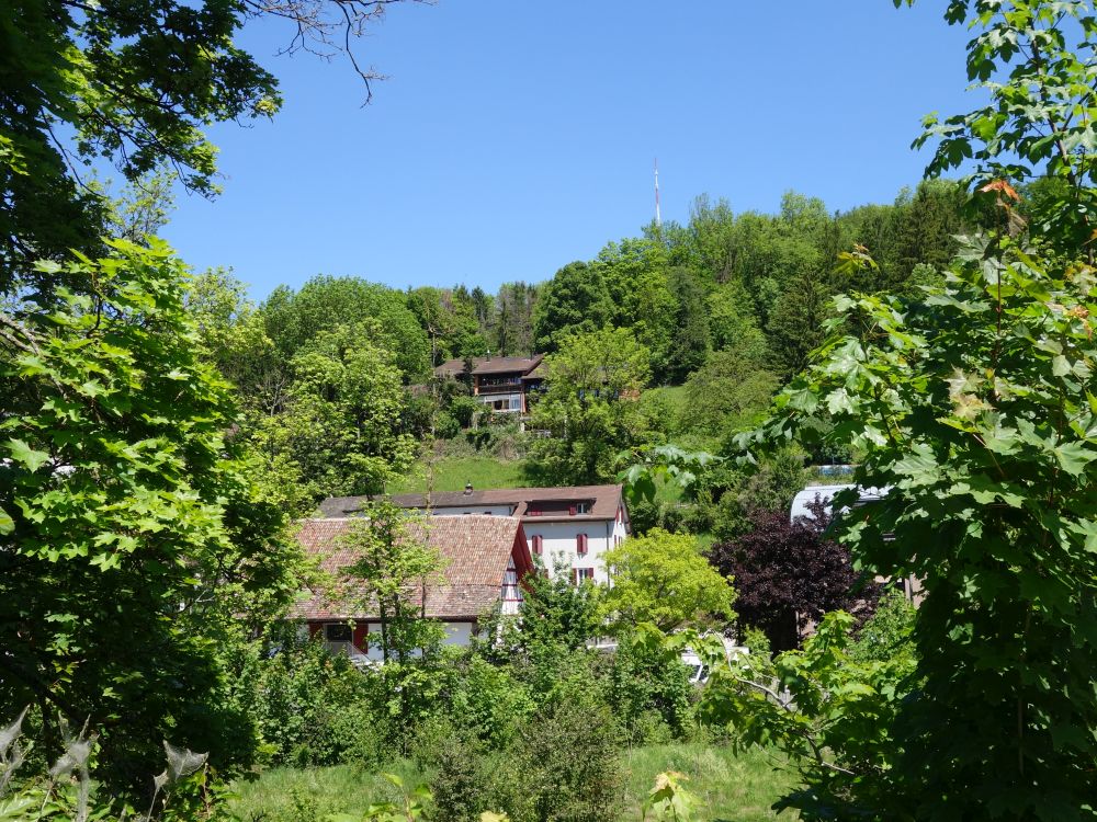 Blick Richtung Brelberg