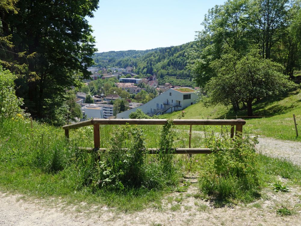 Blick ins Schlosstal