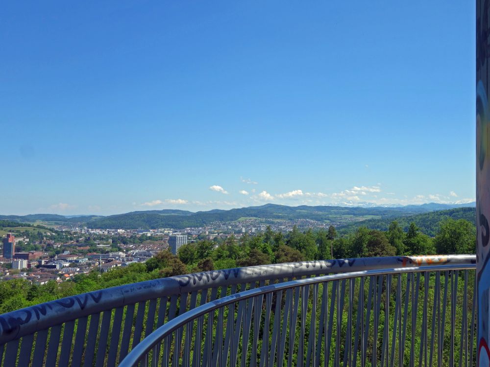 Blick vom Büelbergturm