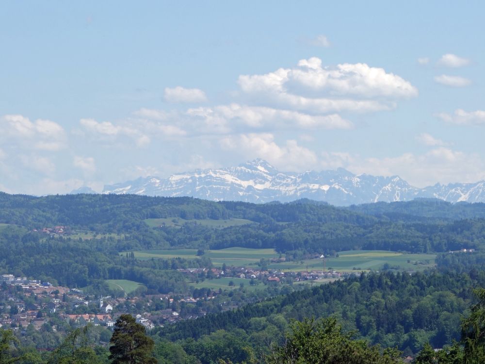 Blick zum Säntis