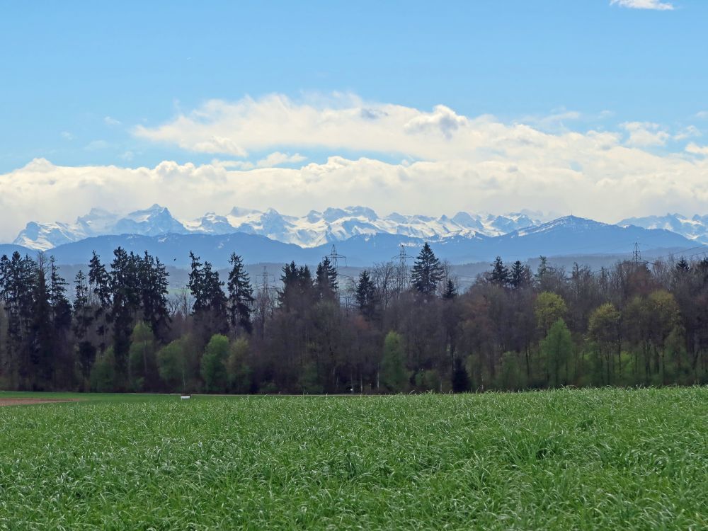 Urirotstock bis Rigi u.a.