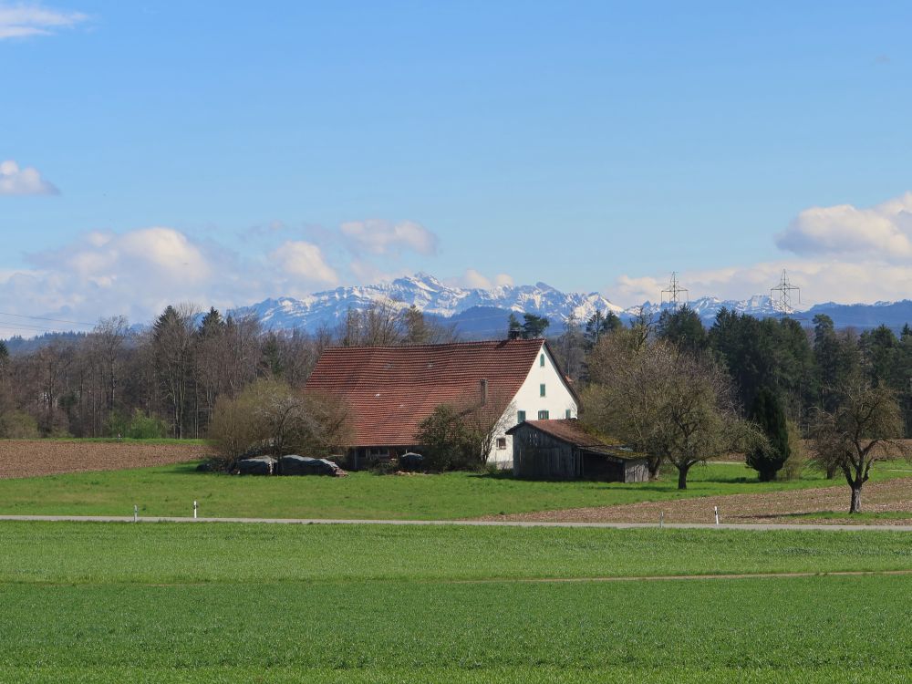 Säntis über Bauernhof Luketen