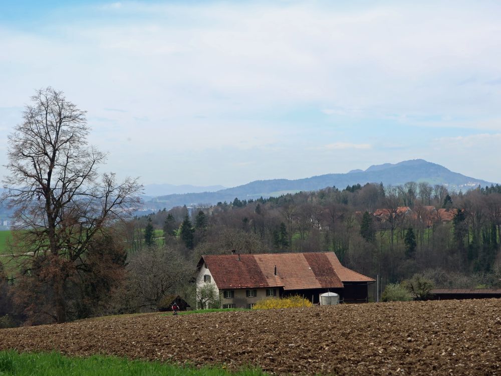 Lägeren über Obholz