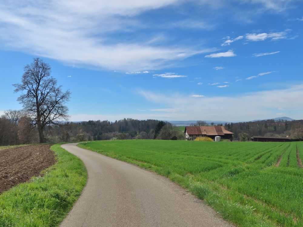 Blick Richtung Obholz