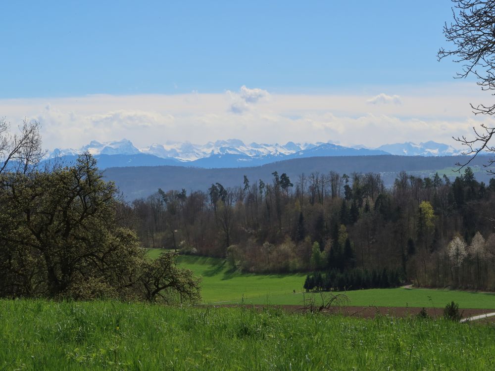 Urirotstock bis Rigi