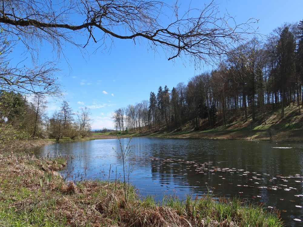 Eigentalweiher