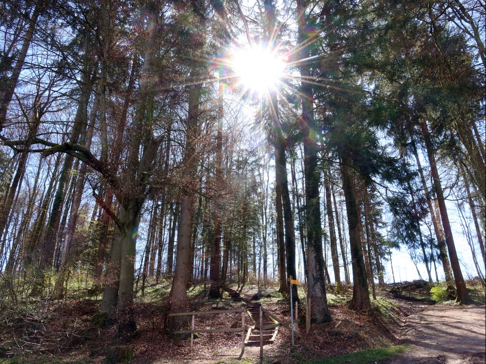 Treppe und Sonnenstern