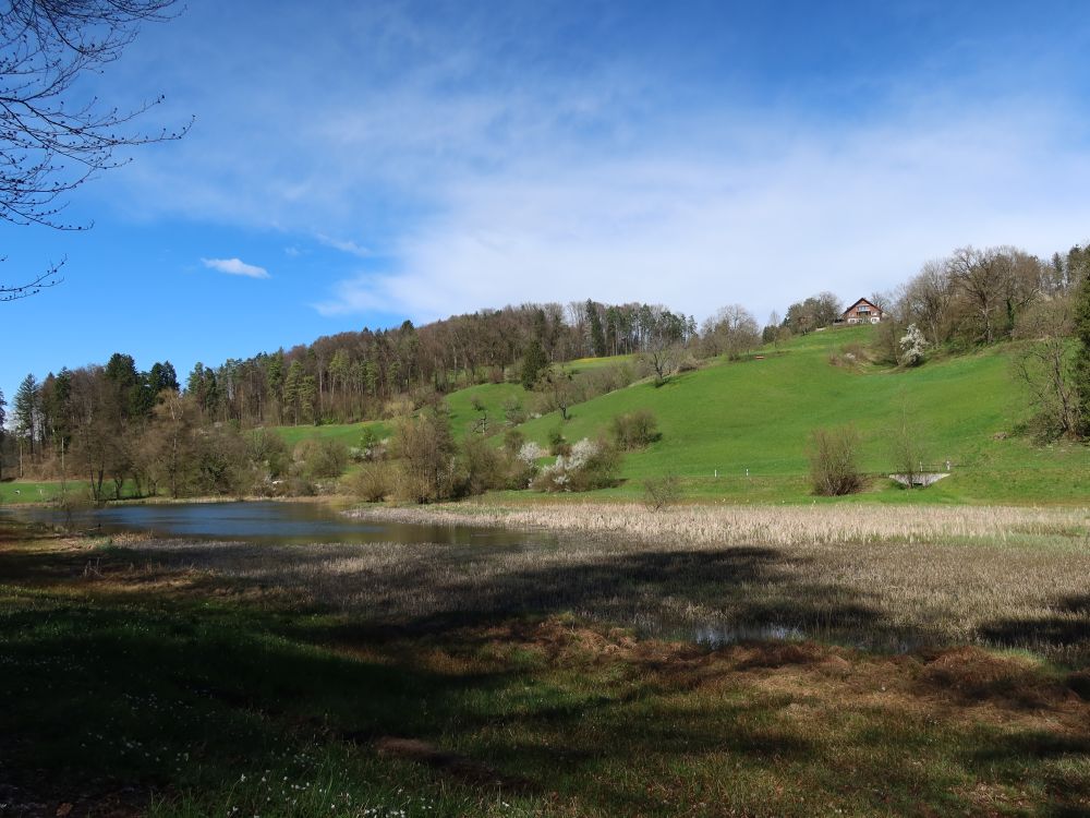 Blick Richtung Eigentalweiher