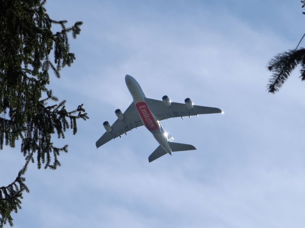 Flugzeug der Emirate