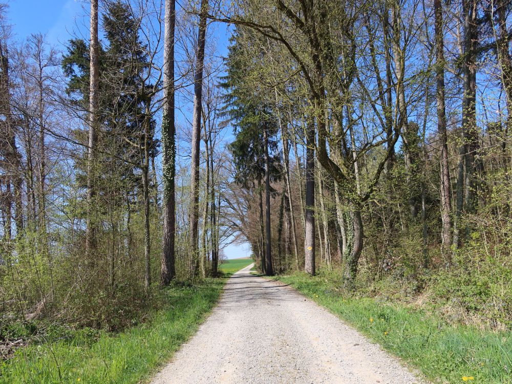 Holzäckerweg