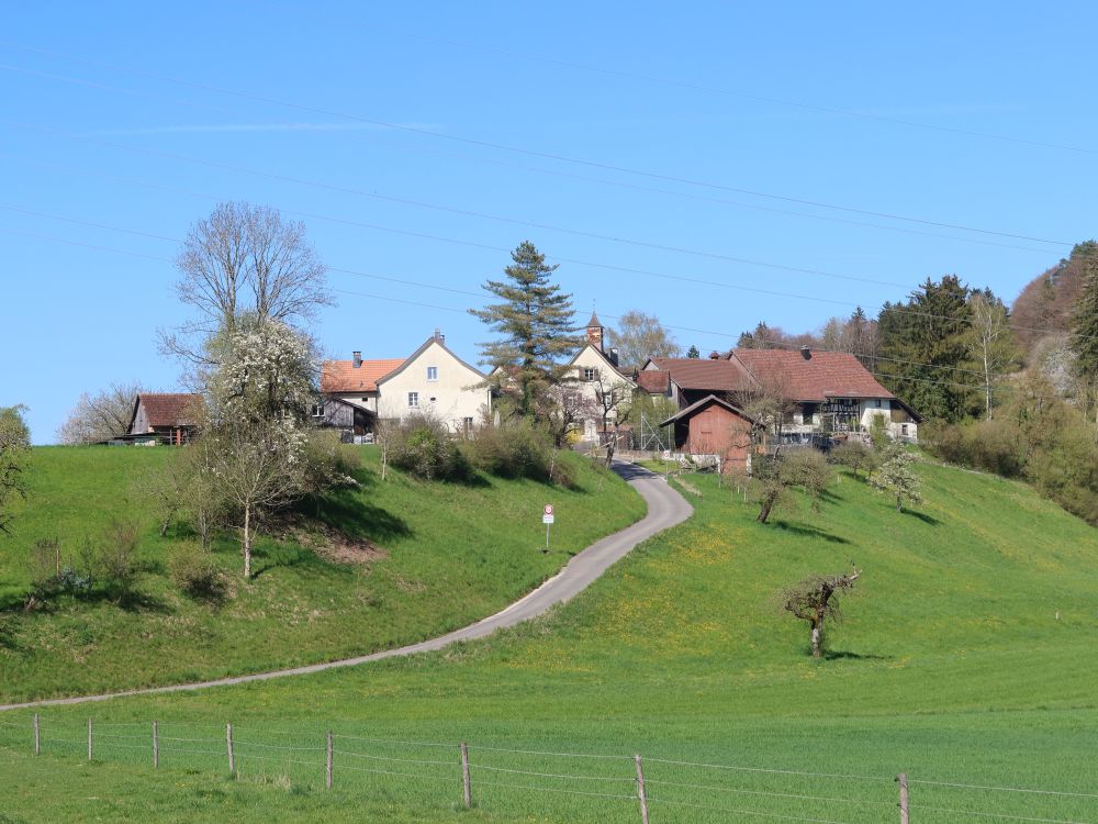 Neuburg