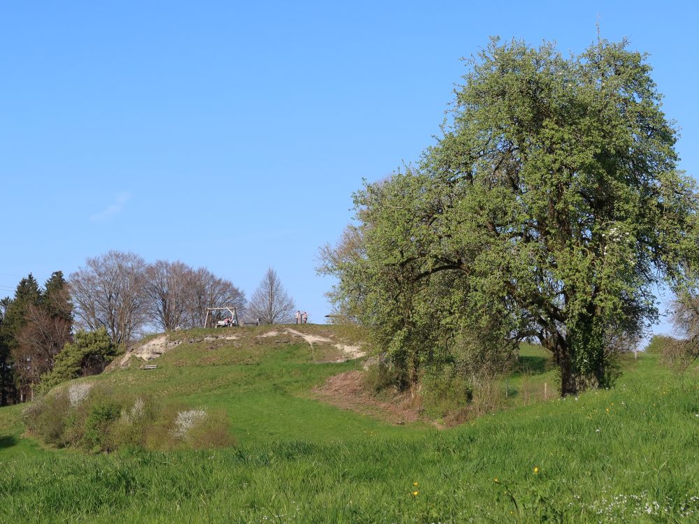 Geodätischer Mittelpunkt Kanton Zürich