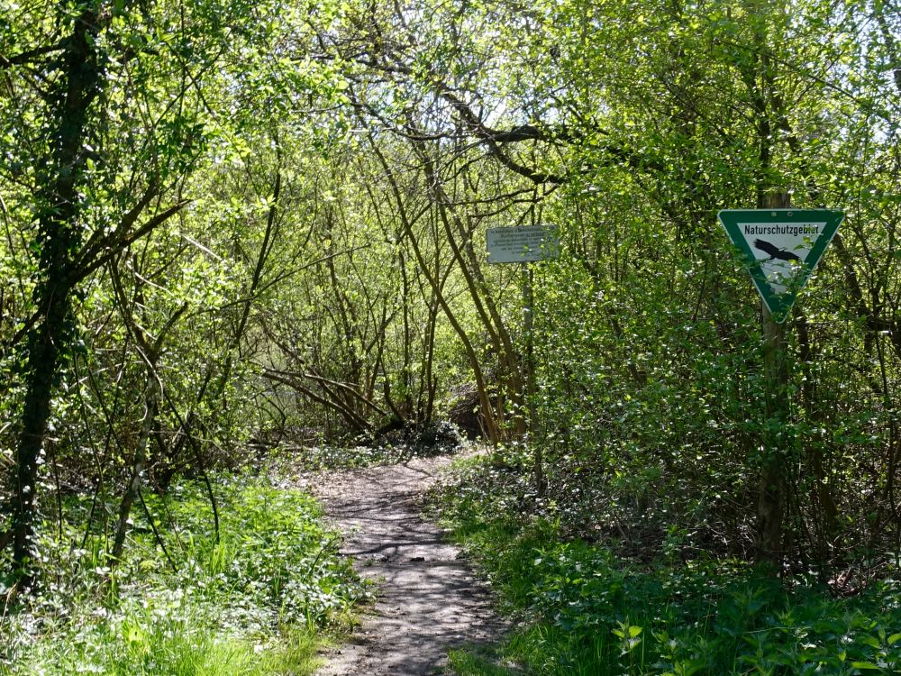 Naturschutzgebiet Buchensee