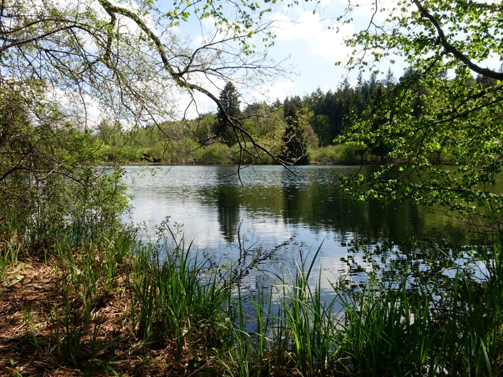 Mittlerer Buchensee