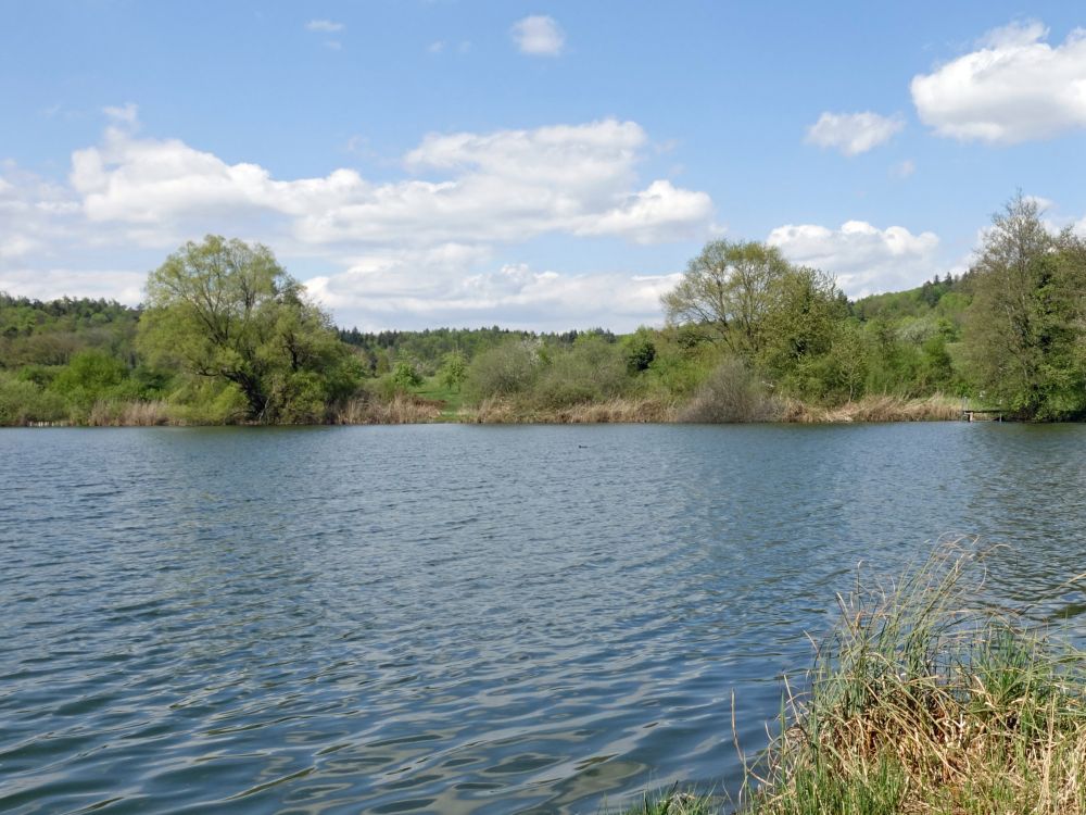 Oberer Buchensee