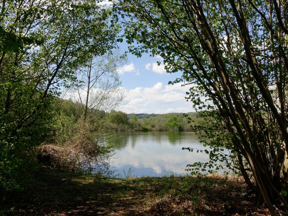 Oberer Buchensee