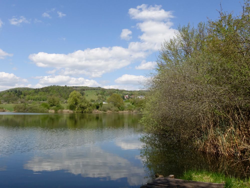 Oberer Buchensee