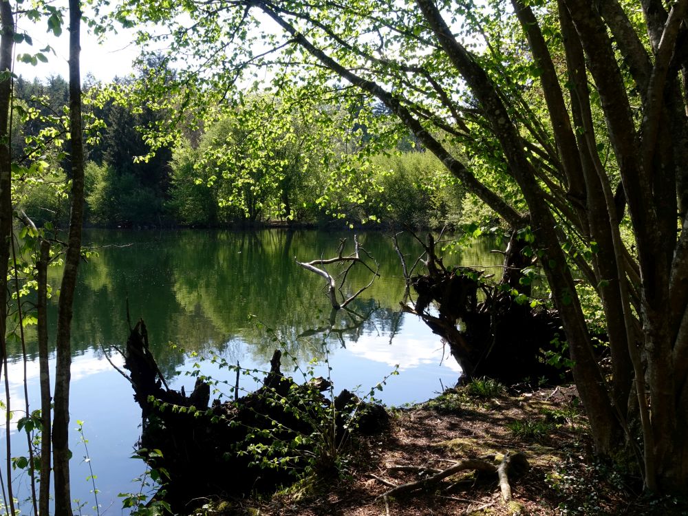 Mittlerer Buchensee