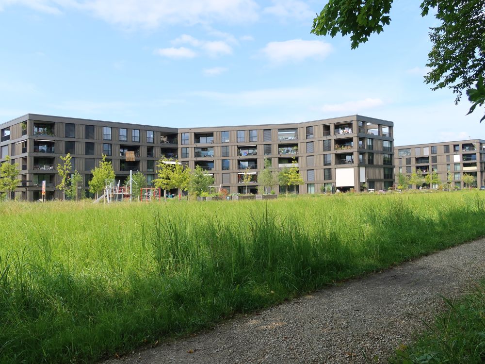 Wohnblocks Grünmatt