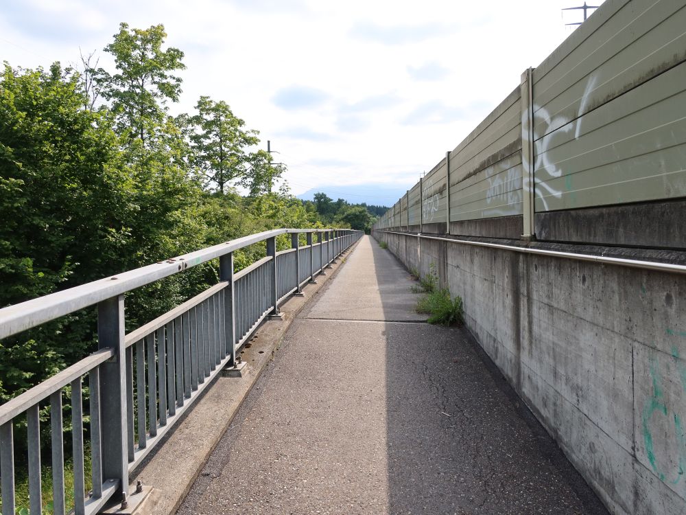 Fussweg auf der Altwegbrücke A14