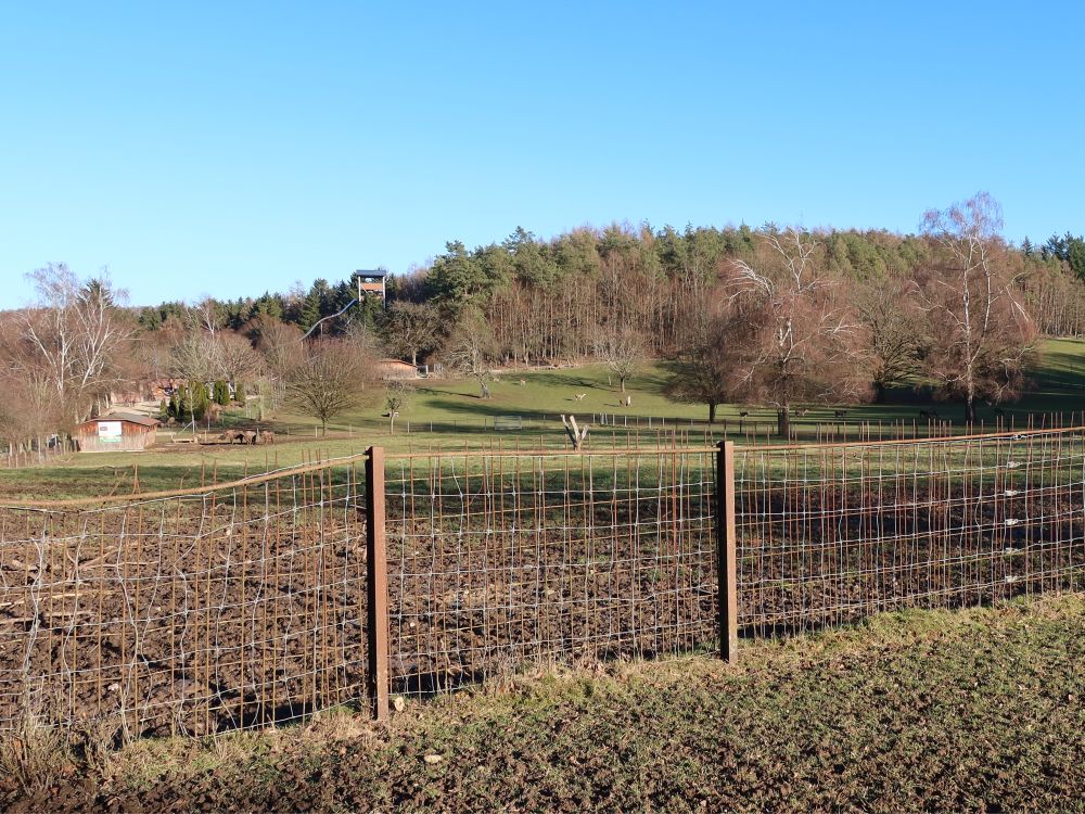 Wildpark mit Turm