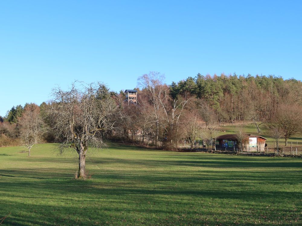 Wildpark mit Turm