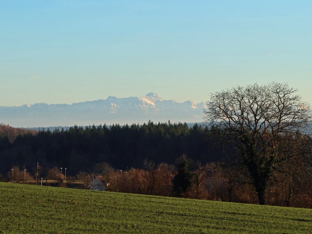 Säntis