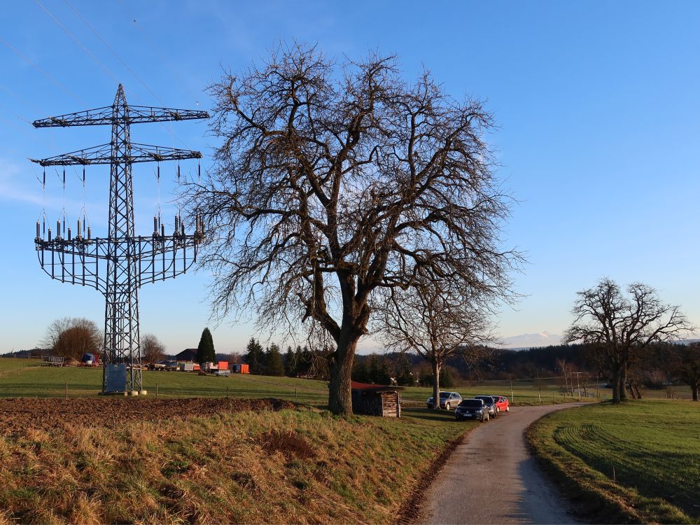 Ende der Hochspannungsleitung