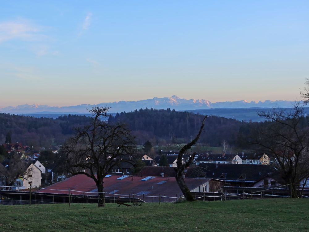 Säntis über Kaltbrunn