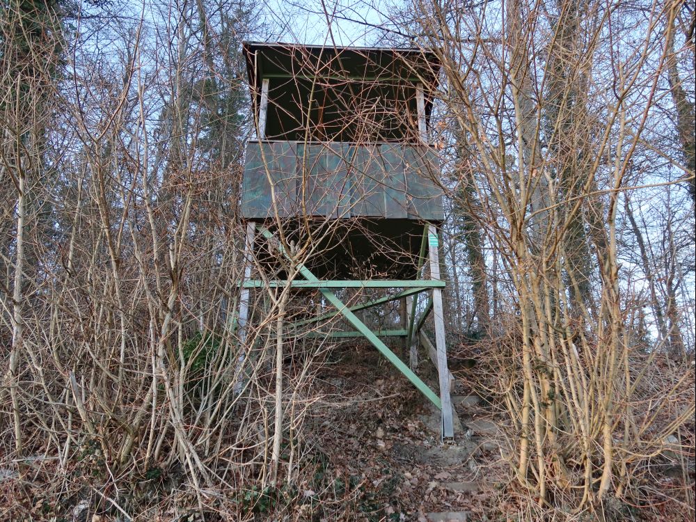 Jägerstand am Hölzle