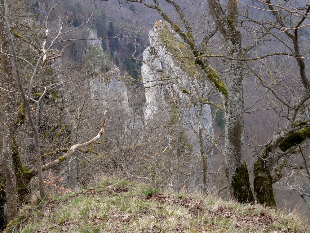 Fels bei Burg Wildenstein