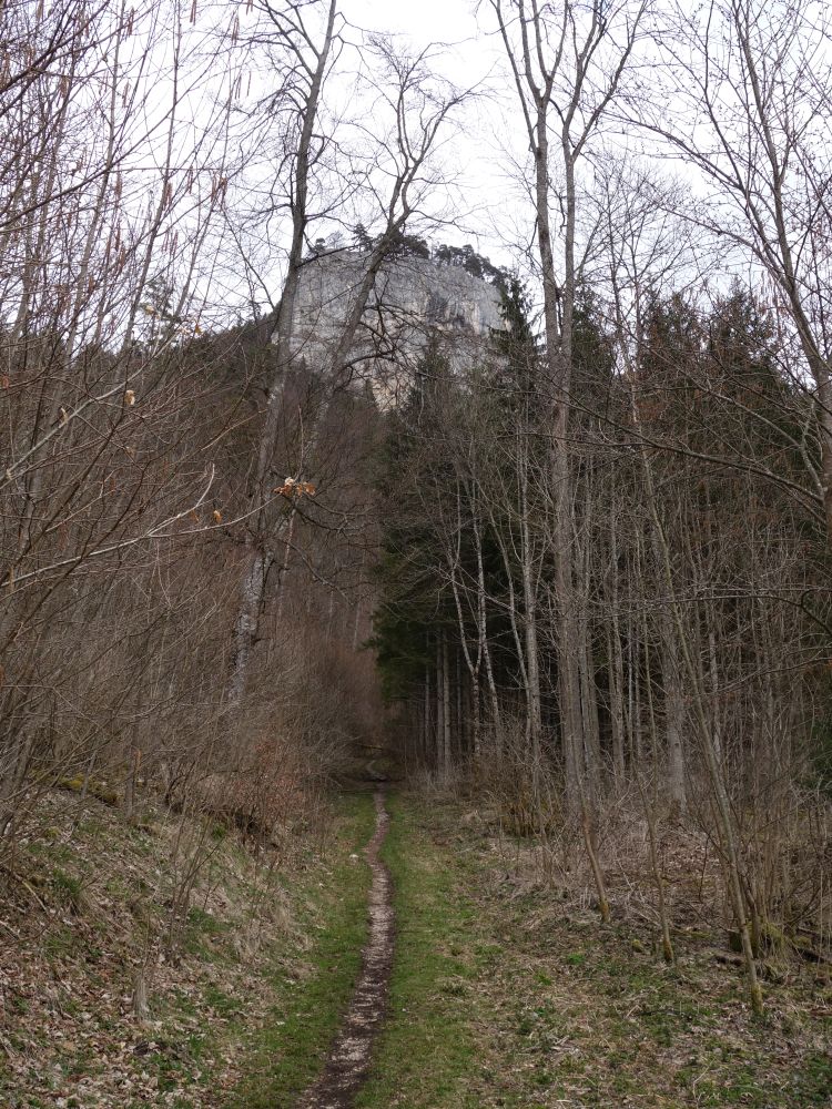Fels bei Burg Wildenstein
