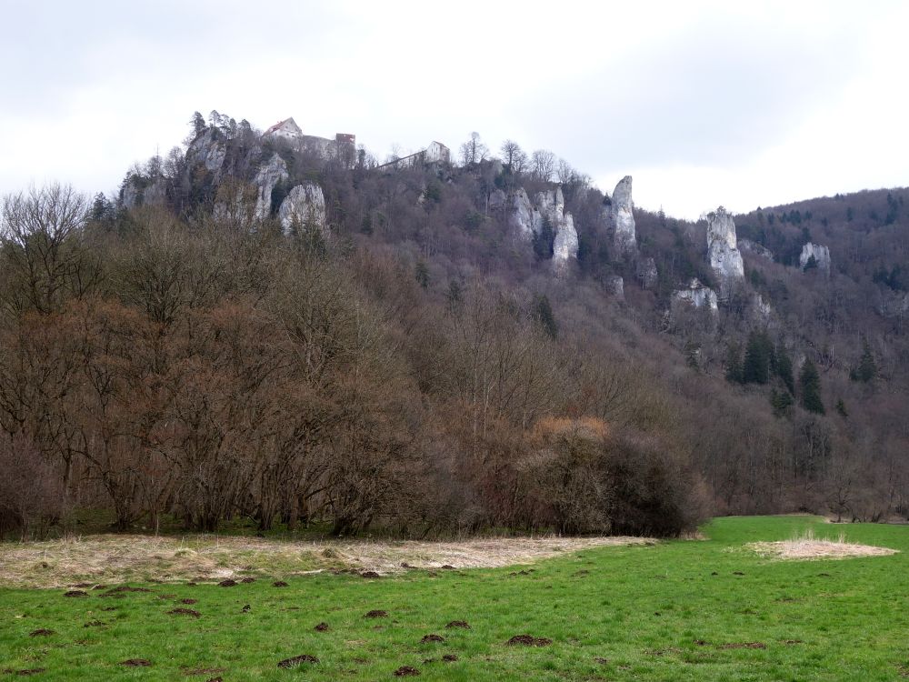 Burg Wildenstein