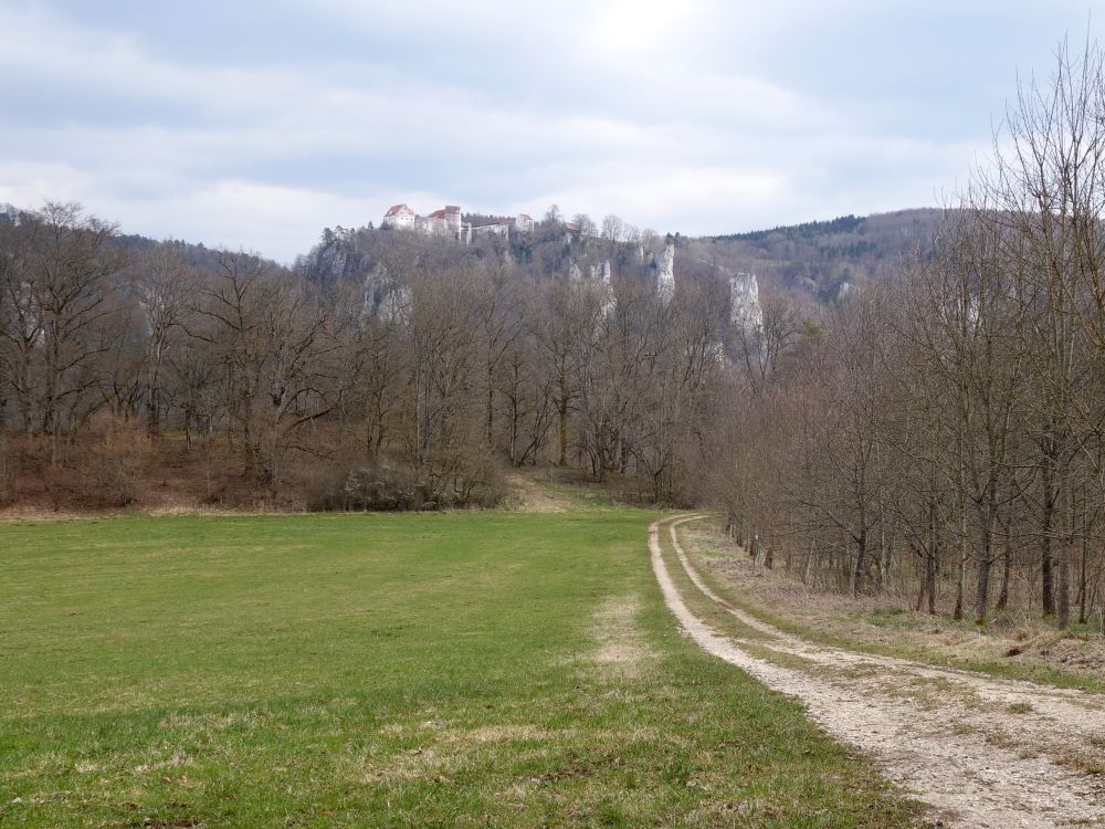 Burg Wildenstein