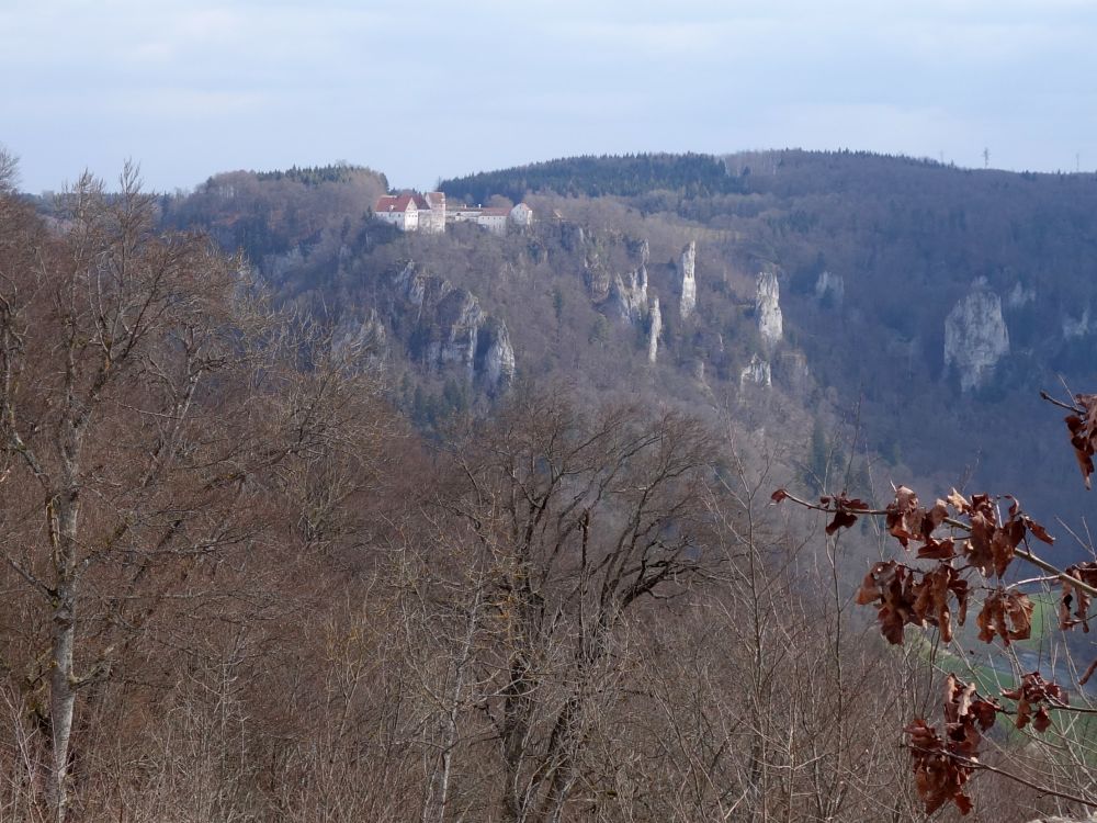 Burg Wildenstein