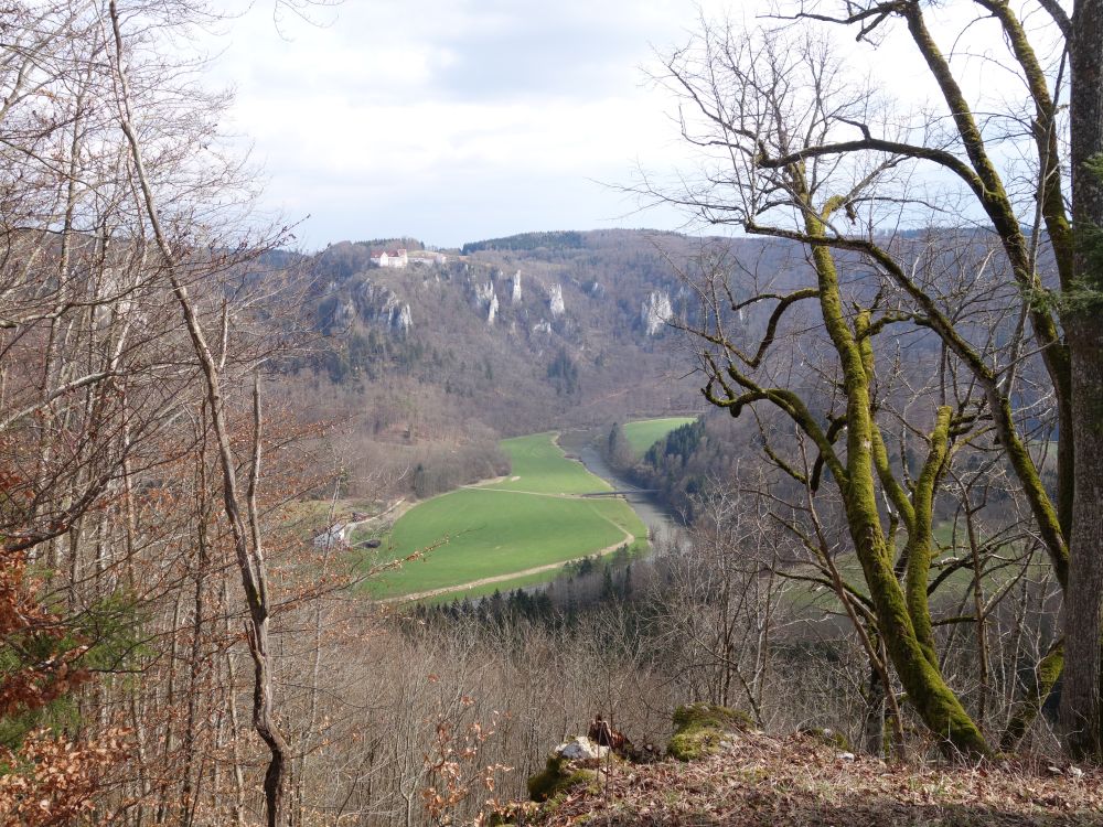 Burg Wildenstein