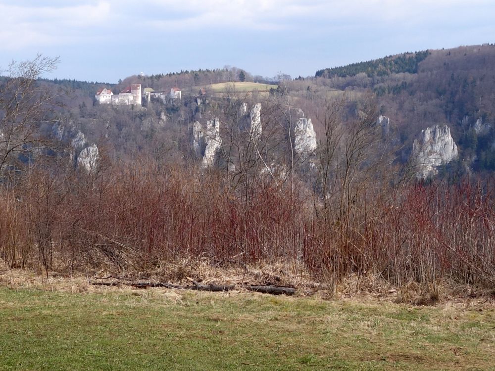 Burg Wildenstein