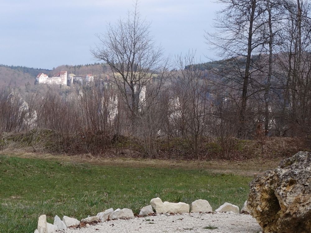 Blick zur Burg Wildenstein