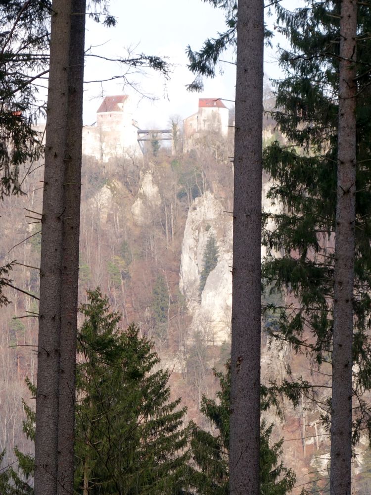 Burg Wildenstein