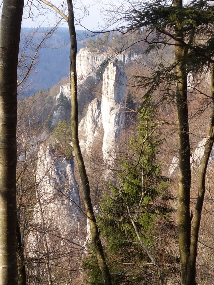 Fels unter der Burg Wildenstein