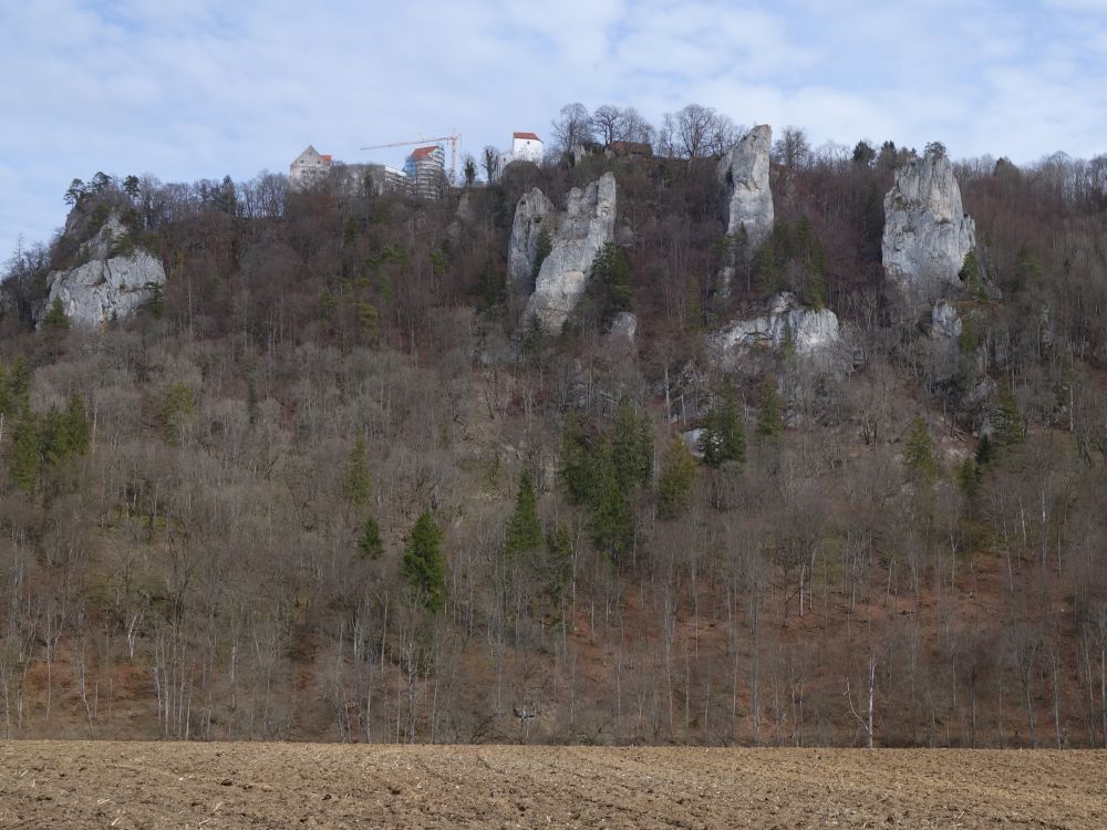 Burg Wildenstein