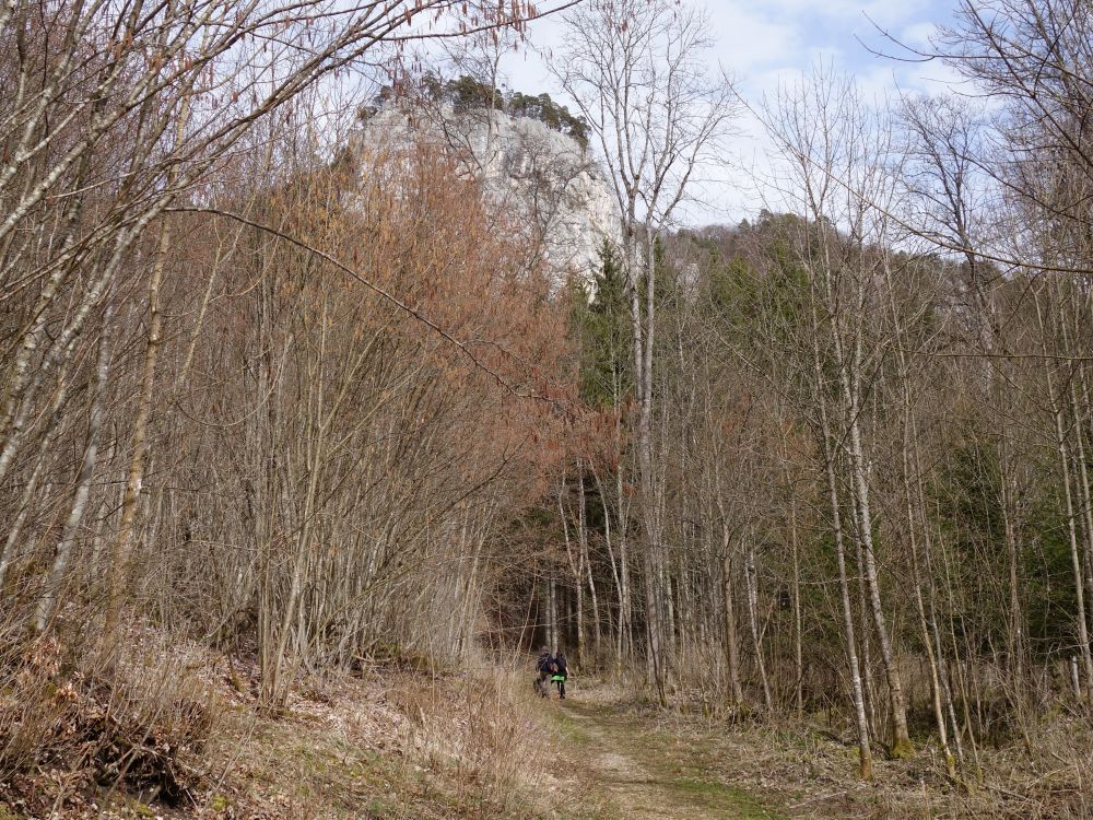 Weg zur Burg Wildenstein