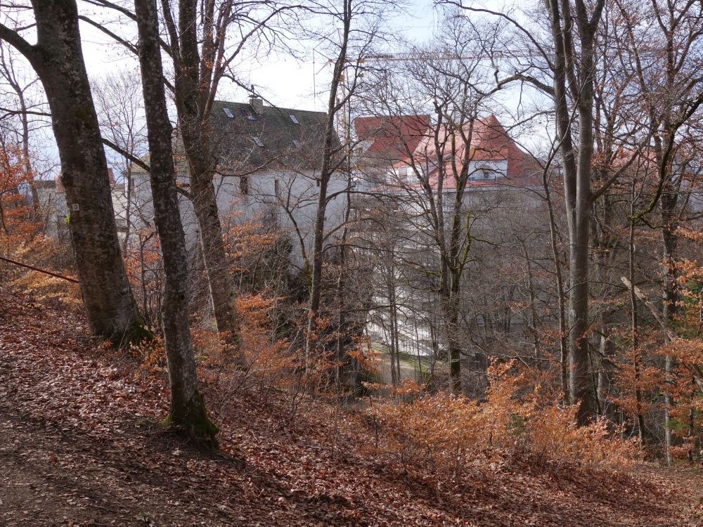 Burg Wildenstein